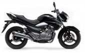 2012 Suzuki Inazuma 250 photo